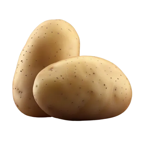 Potato