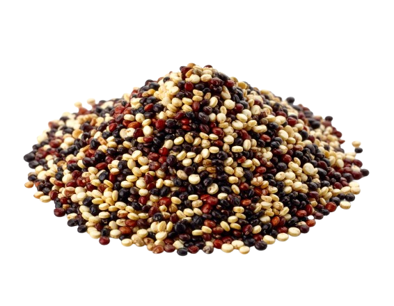 Quinoa
