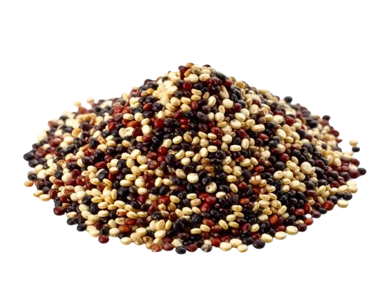 Quinoa