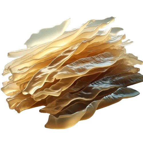 Raw agar seaweed