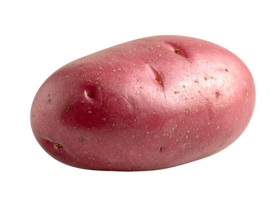 Red Potato