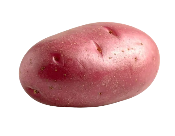 Red Potato