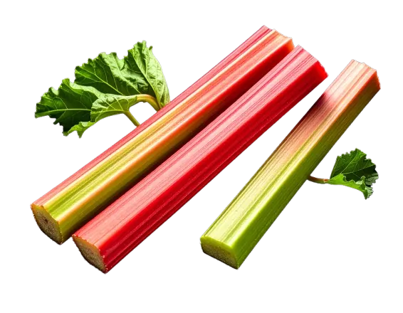 Rhubarb