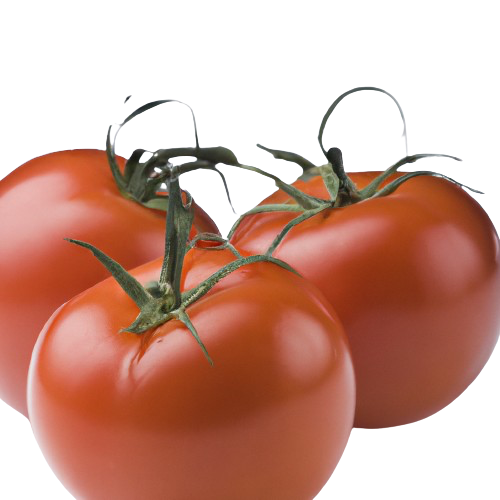Romato tomato