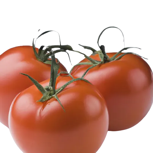 Romato tomato