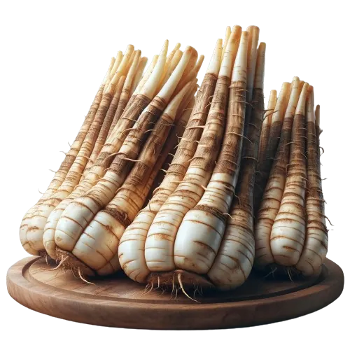 Salsify