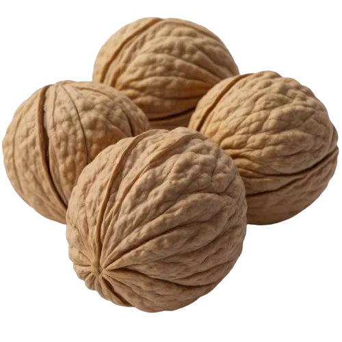 Salted dry roasted walnuts