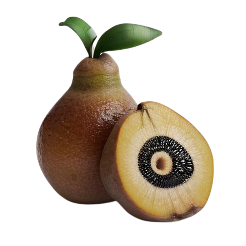Sapodilla