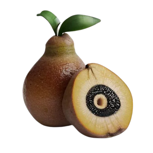 Sapodilla