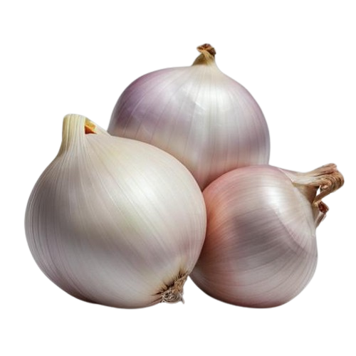 Shallots