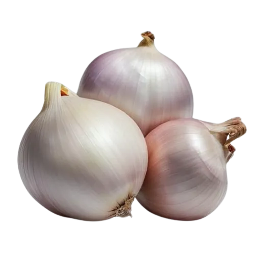 Shallots