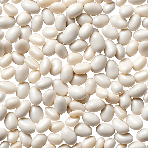 Small White Beans