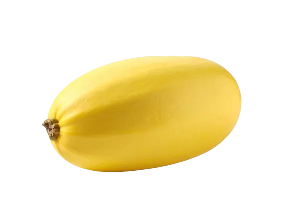 Spaghetti squash