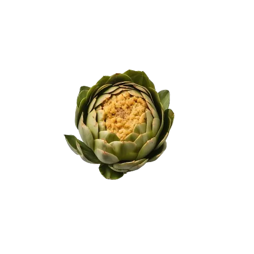 Stuffed Artichoke