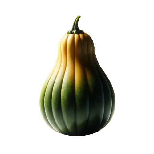 Summer squash