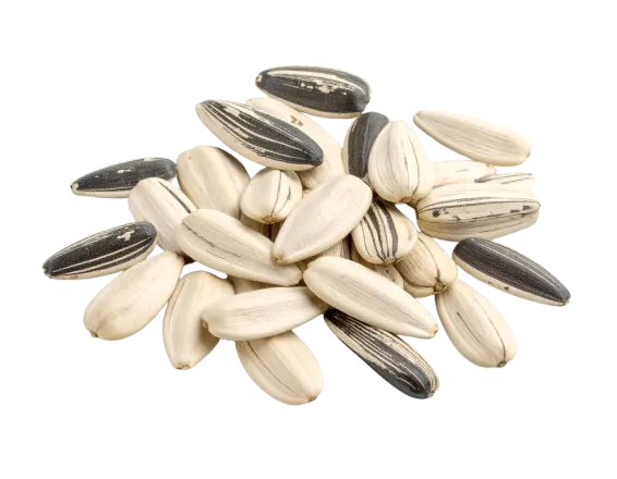 Sunflower seeds
