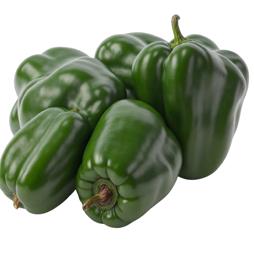 Sweet Green Pepper