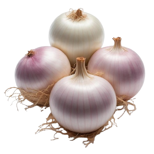 Sweet Onions