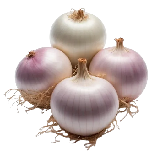Sweet Onions