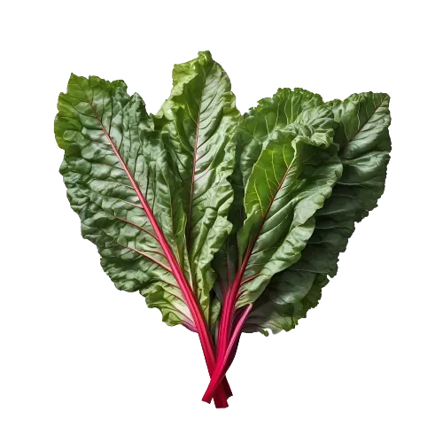 Swiss Chard