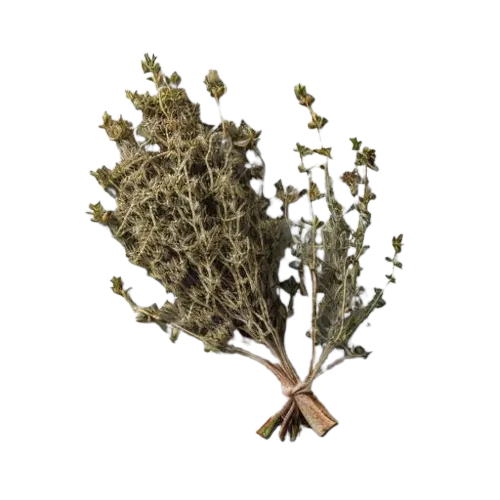 Thyme