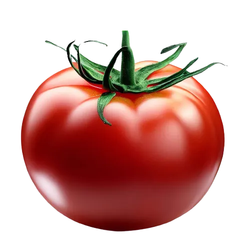 Tomatoes