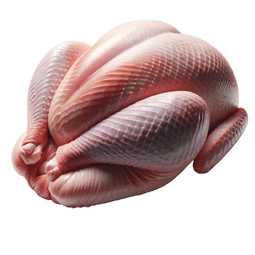Turkey
