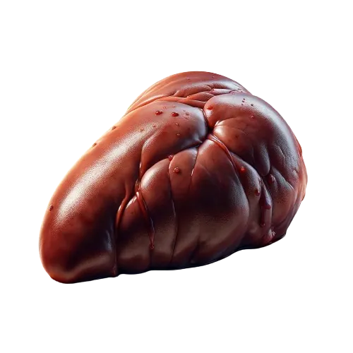 Turkey liver