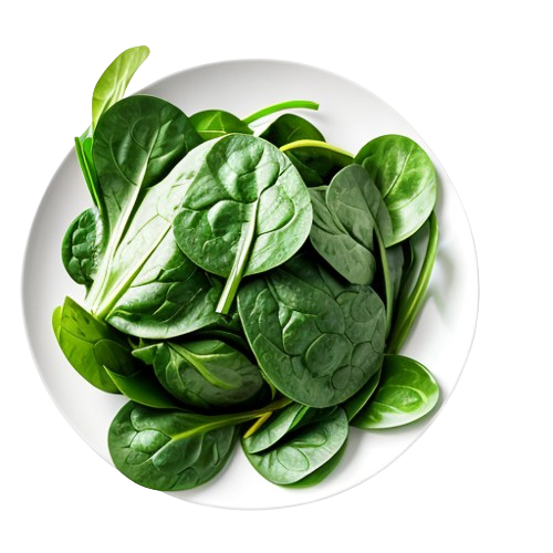 Vinespinach