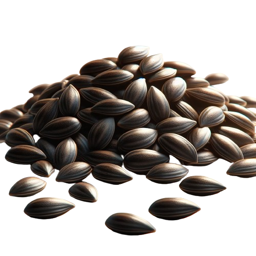 Watermelon seed kernals