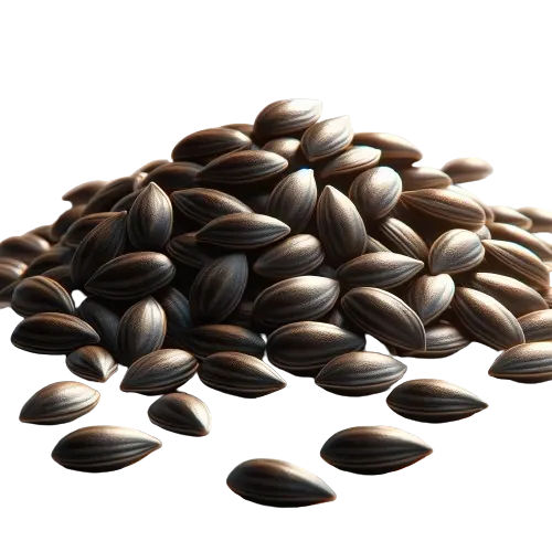 Watermelon seed kernals