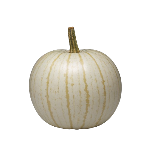 White-flowered gourd