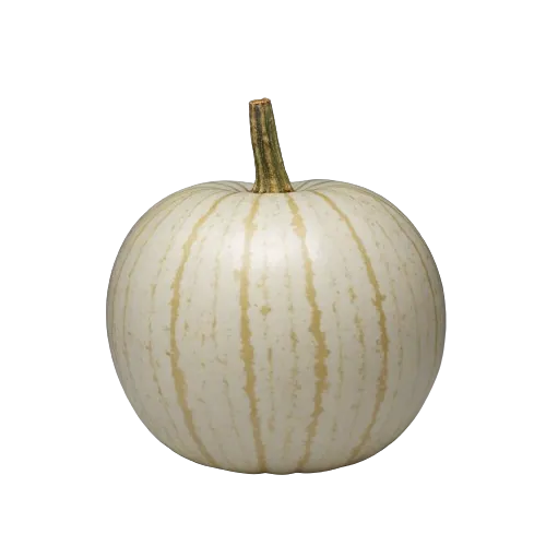 White-flowered gourd