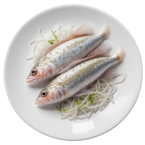 Whiting fish