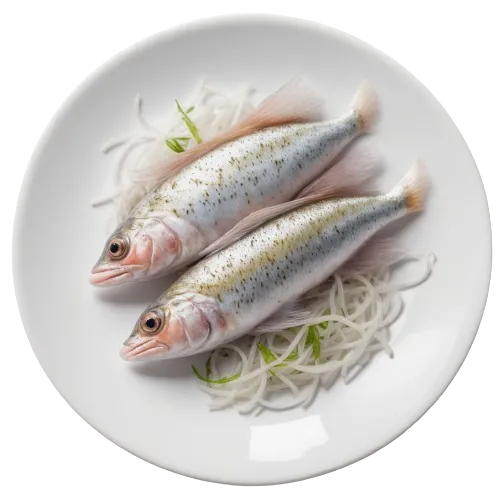 Whiting fish