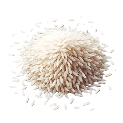 Wild rice