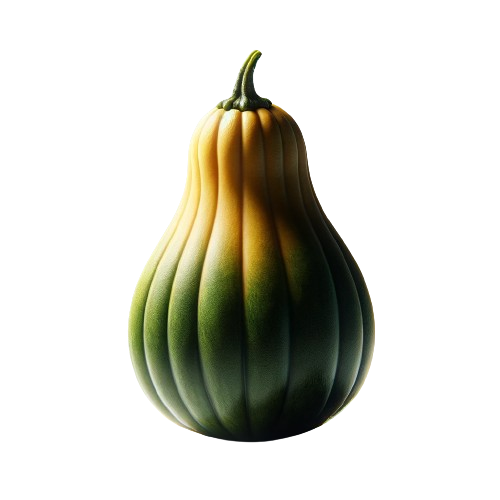 Winter squash
