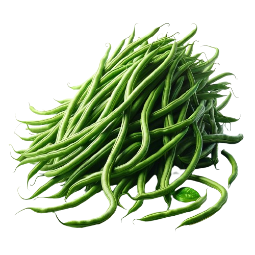 Yardlong bean
