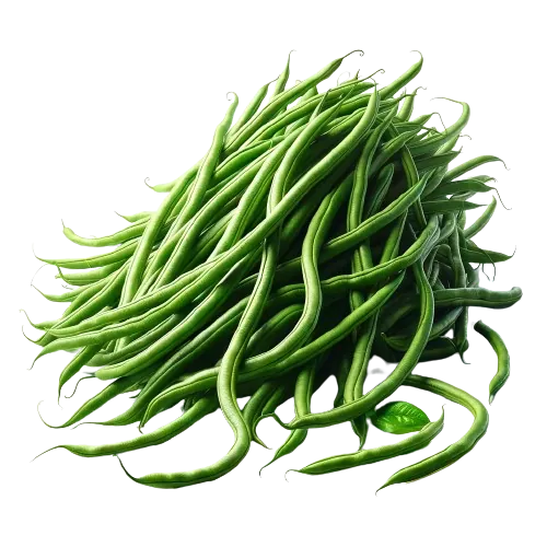 Yardlong bean