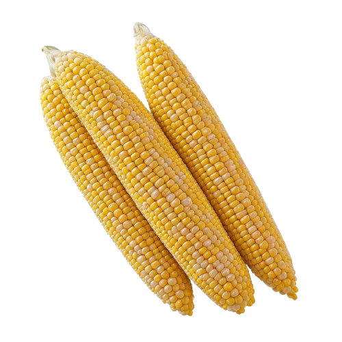 Yellow frozen sweet corn