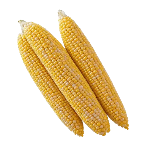 Yellow frozen sweet corn