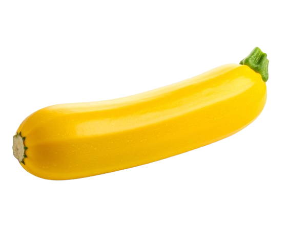 Yellow Summer Squash