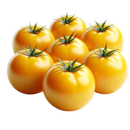 Yellow tomatoes