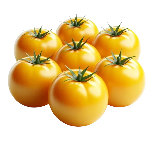 Yellow tomatoes