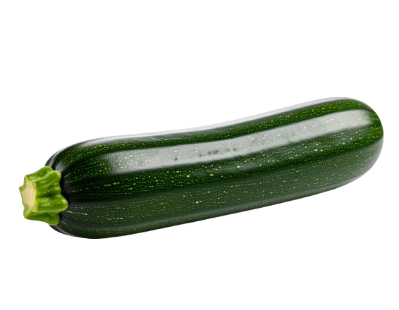 Zucchini squash