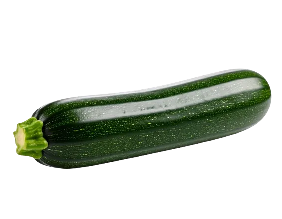 Zucchini squash